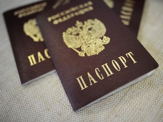 прописка в Кольчугино